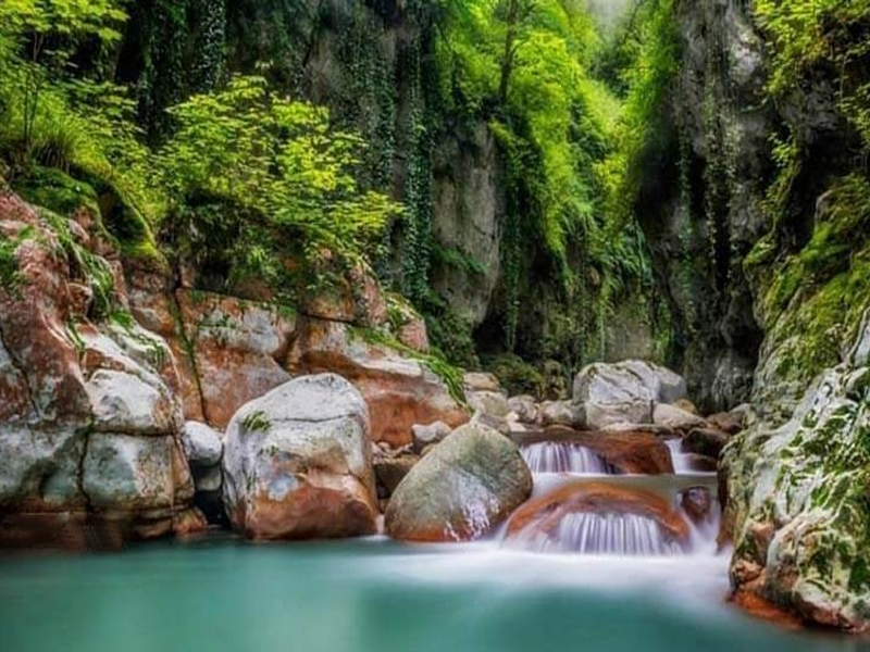 تنگ دار نوشهر کجاست؟ مسیر دسترسی، بهترین زمان سفر و نکات مهم بازدید